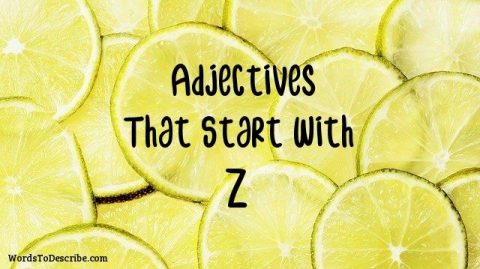 27 Adjectives That Start With Z | Words To Describe