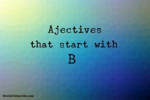 adjectives beginning with b