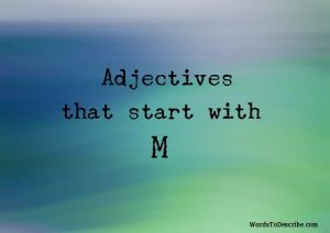 adjectives that begin with m