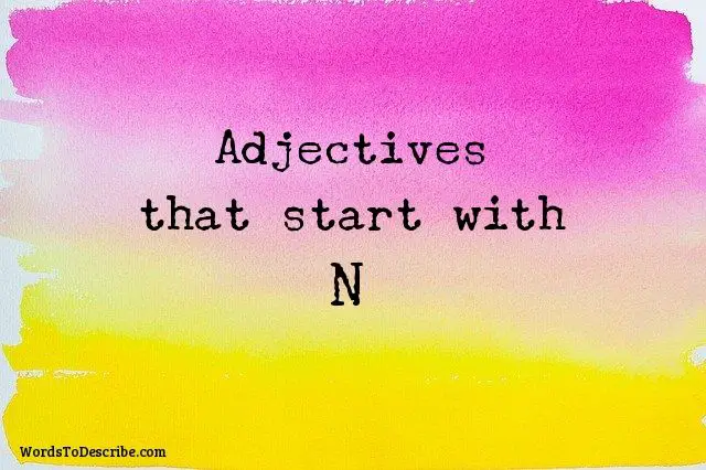 adjectives that begin with N