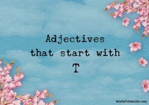 adjectives that begin with t