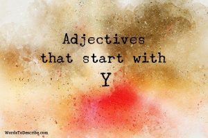 adjectives that begin with y