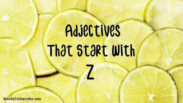 adjectives that begin with z