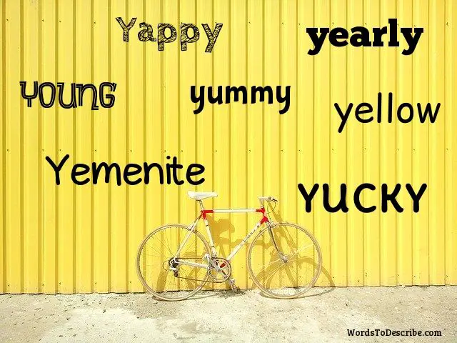 adjectives that start with Y