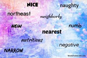 adjectives that start with n