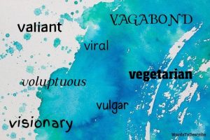 adjectives that start with v