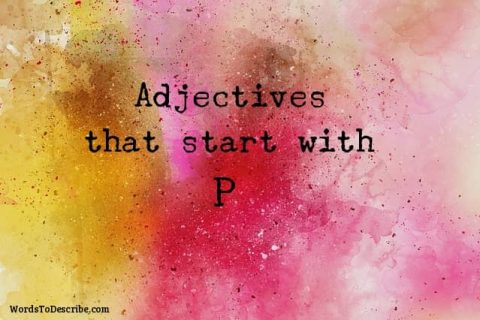 319 Adjectives That Start With P | Words To Describe