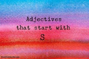 adjectives that begin with s