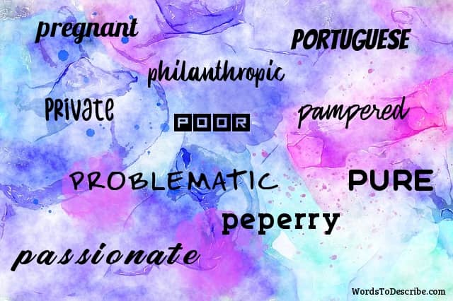 adjectives that start with p