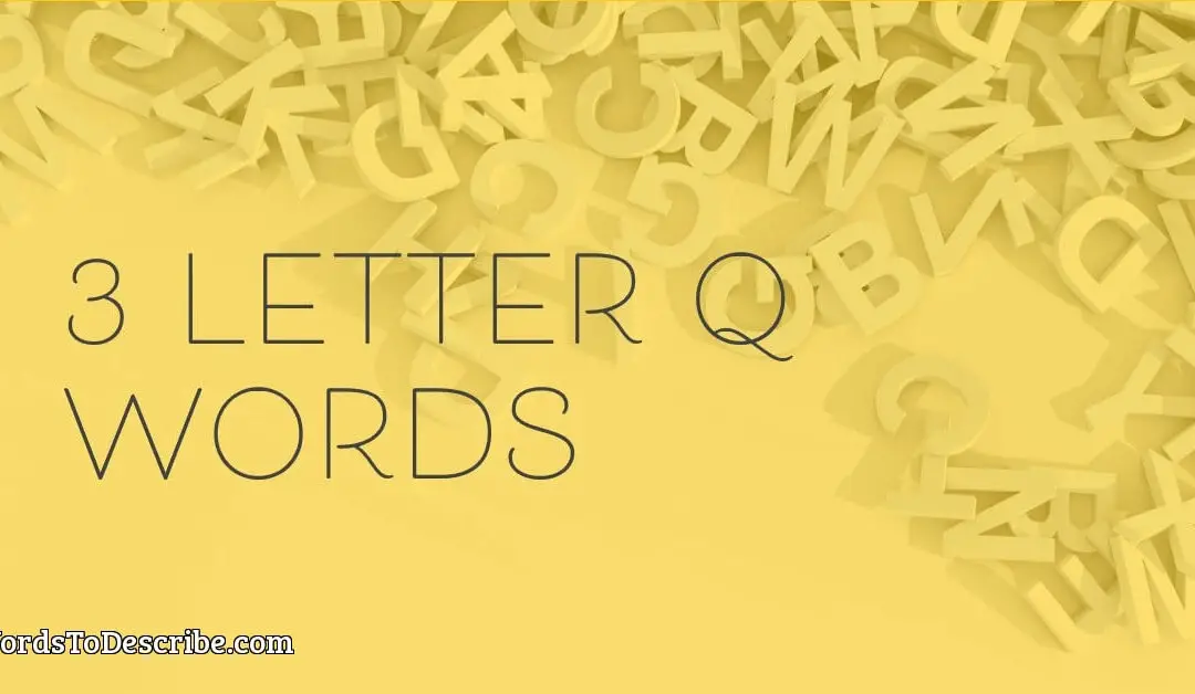 3 Letter Q Words